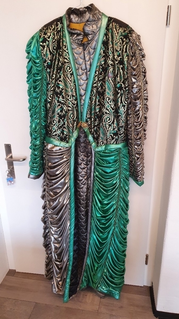 20230113_150516 gold-grünes Fasnachtsgewand